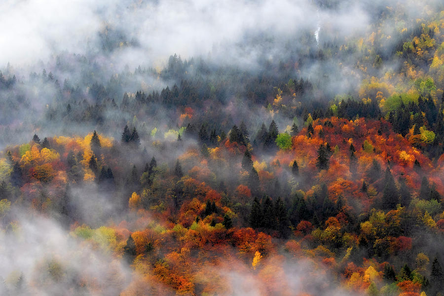 Clouds and fall colors by Roberto Pagani Clouds and fall colors by Roberto Pagani