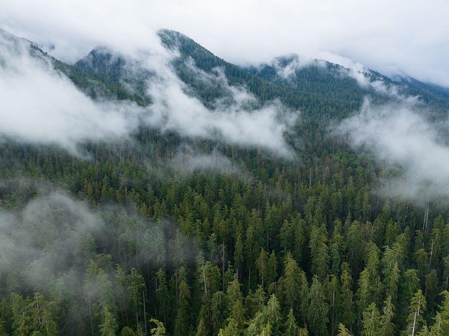 Olympic National Park Photograph - Clouds Drift Across The Rugged by Ethan Daniels