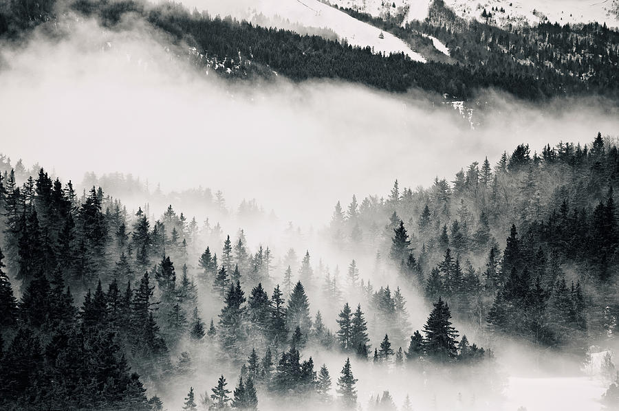 Clouds Moving Through Forest In French Photograph by Philipp Klinger