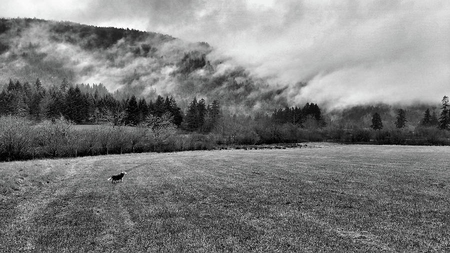 Clouds on the hill with dog Photograph by Mark Alan Perry