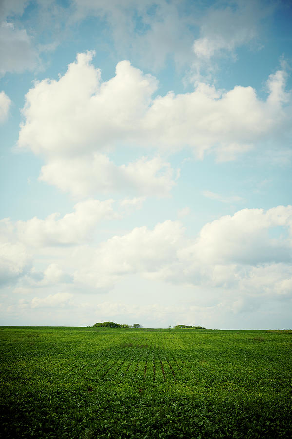 Clouds Over Arable Farmland Photograph by Johner Images