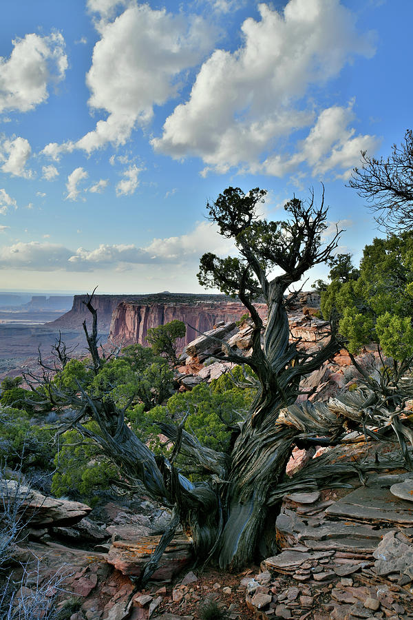 Clouds over Canyonlands National Park Photograph by Ray Mathis