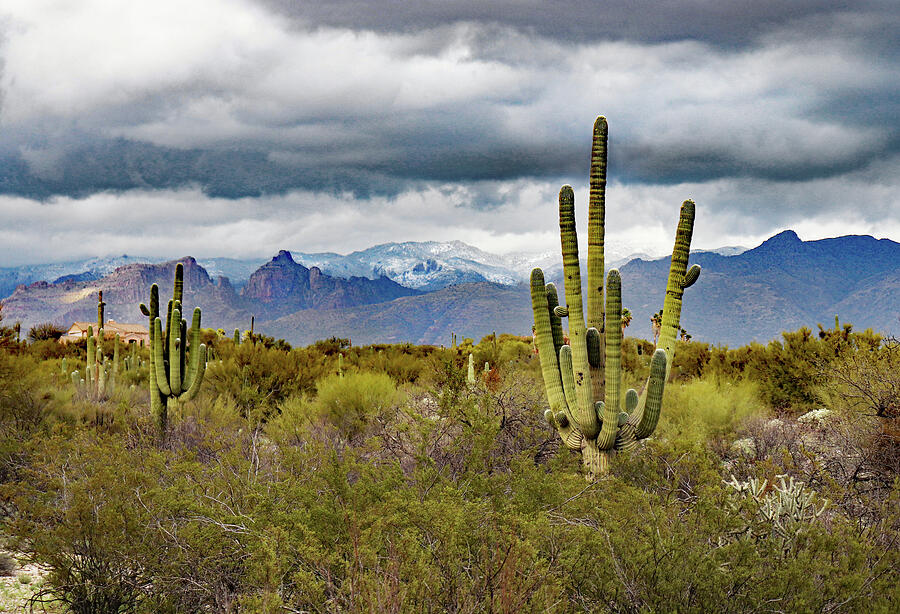 Clouds Over The Tucson Mountains Photograph