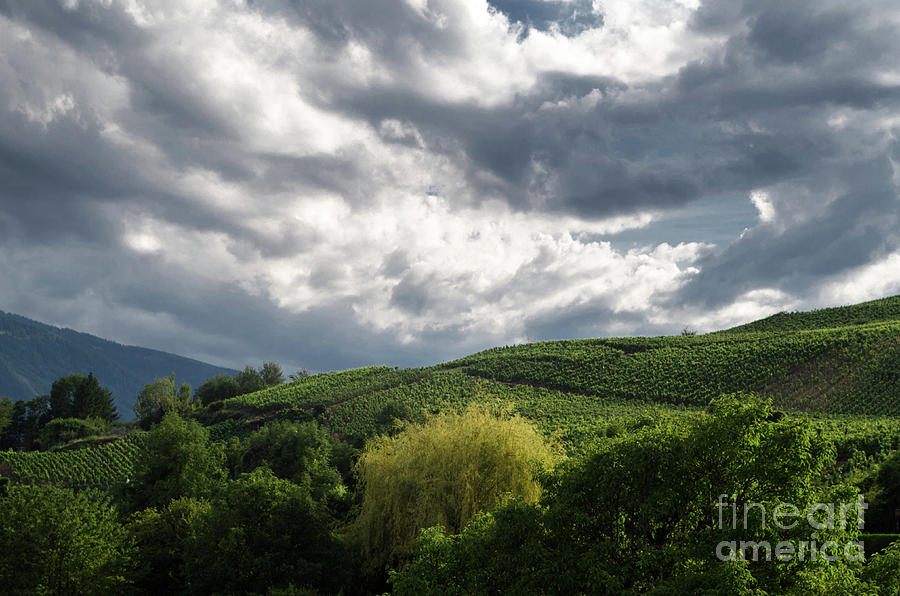 clouds over the wineyards of Loc Photograph by Michelle Meenawong