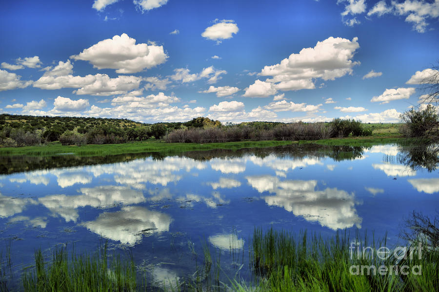 Clouds Reflecting In A Smooth Pond Photograph