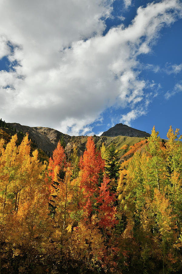 Clouds Roll in Over Fall Aspens at Red Mountain Pass Photograph by Ray Mathis