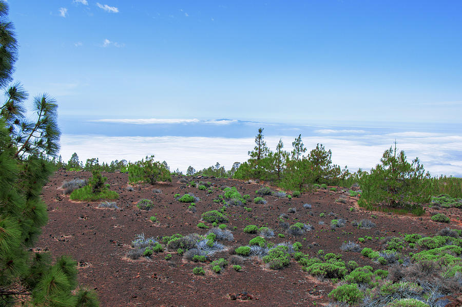 Clouds Surrounding the Teide National Park by Sun Travels Clouds Surrounding the Teide National Park by Sun Travels