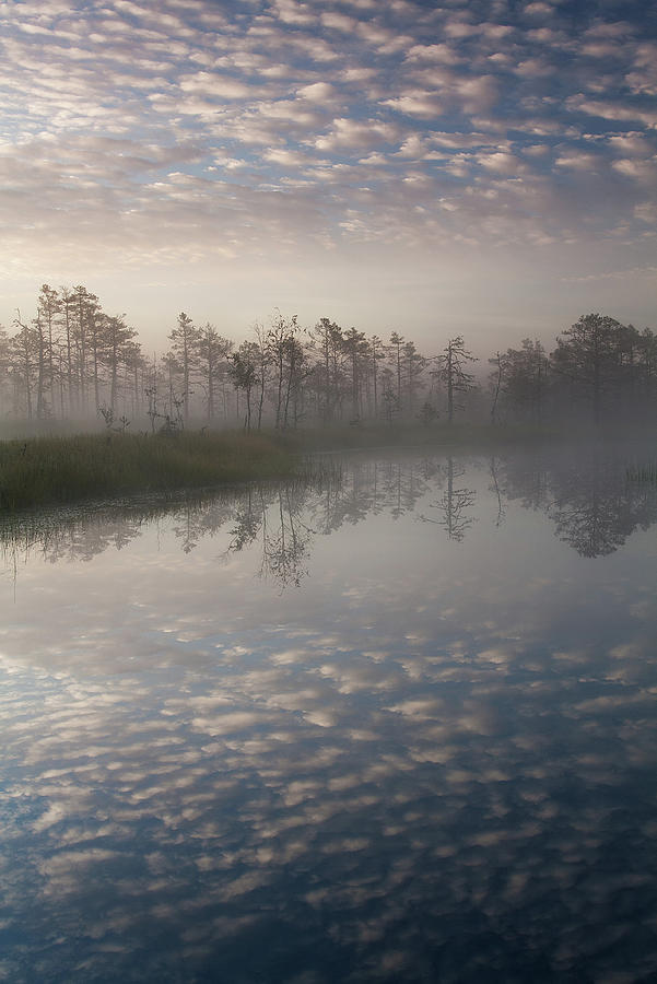 Cloudscape Photograph by Andrei Reinol Landscapes