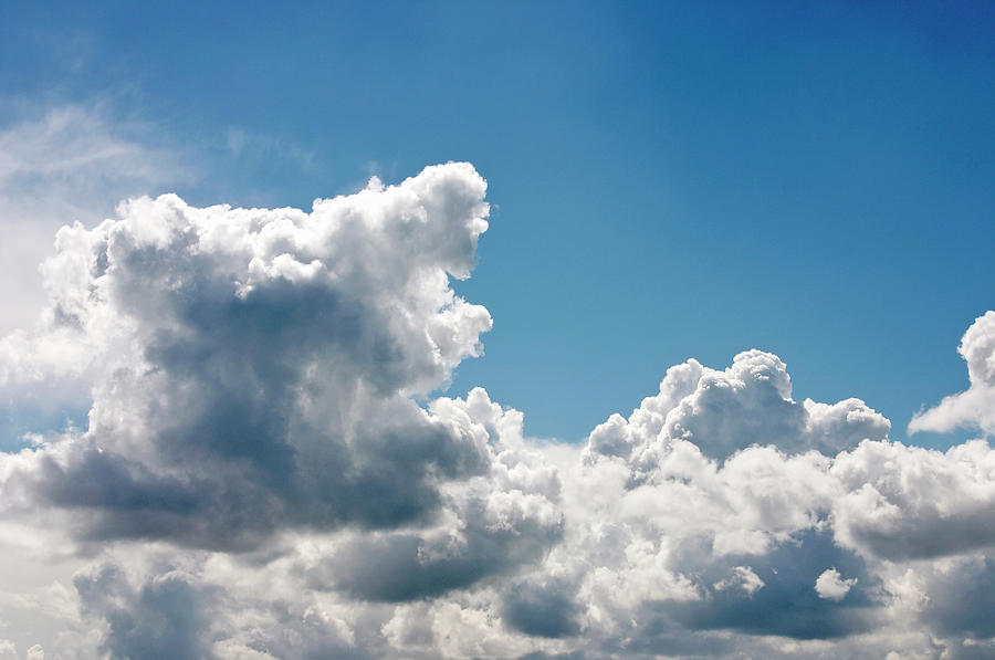 Cloudscape Of Fluffy Cumulus Clouds Photograph by Andrew Holt