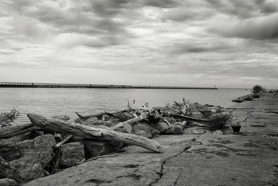 Pier Photograph - Cloudscape Over Pier With Driftwood B&w by Anthony Paladino