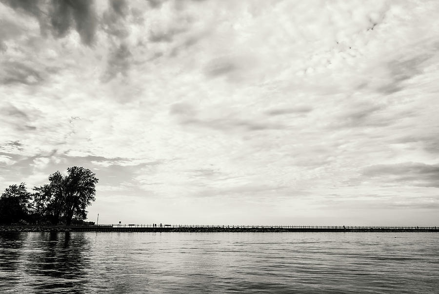 Tree Photograph - Cloudscape Over Pier With Trees B&w by Anthony Paladino