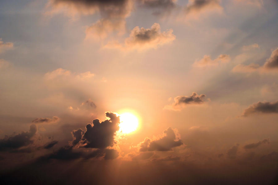 Cloudy Pink Sky by Elizabeth Lock Cloudy Pink Sky by Elizabeth Lock