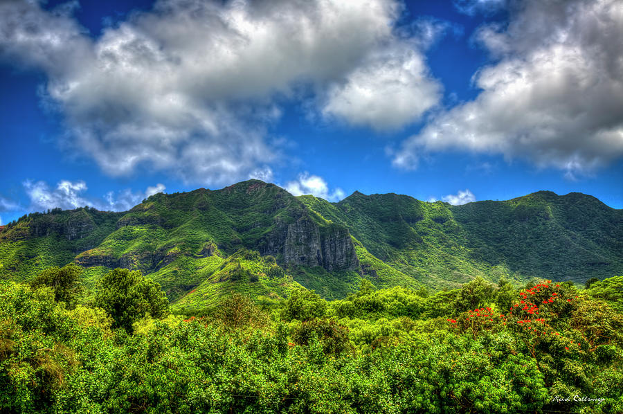 Kauai HI Cloudy Shade Castle Mountain Top Lihue Kauai Landscape Art  Photograph by Reid Callaway