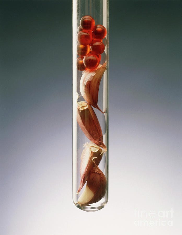 Cloves And Pills Of Garlic In A Test Tube Photograph by Oscar Burriel/science Photo Library
