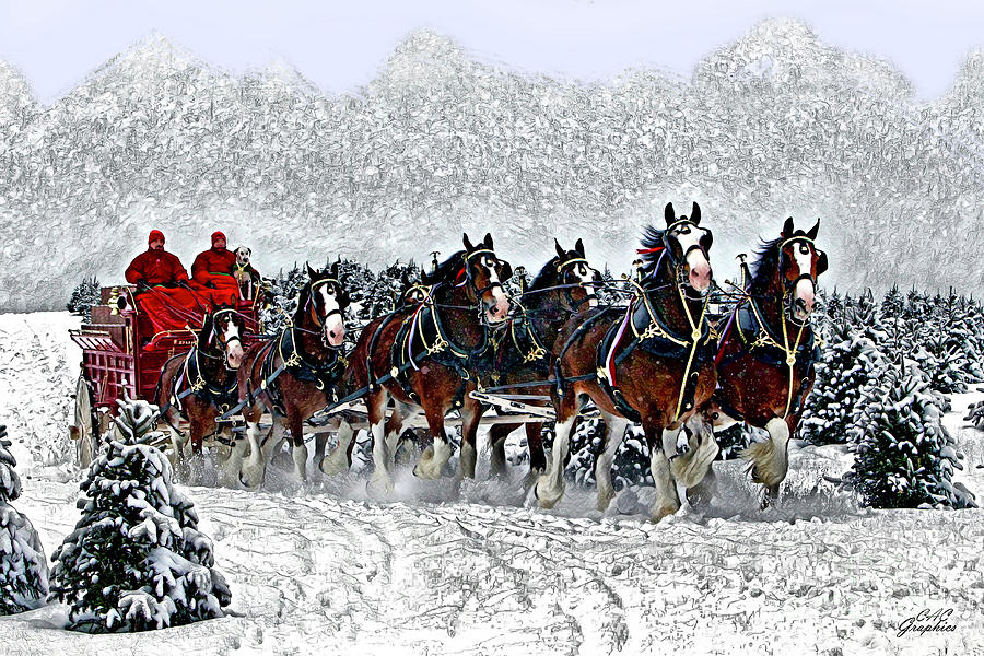 Clydesdales Hitch In Snow Digital Art by CAC Graphics