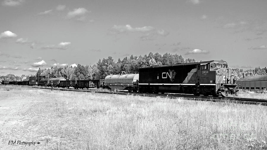 CN Locomotive 2454 Photograph by Elaine Berger