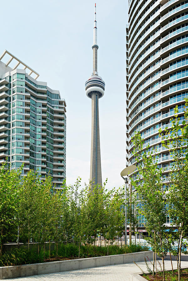 Architecture Photograph - Cn Tower By Buildings In City by Cavan Images