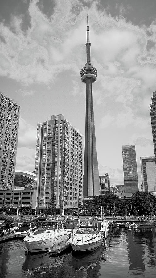 CN Tower Toronto Photograph by James Canning