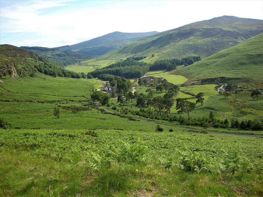 Co. Wicklow Ireland Photograph by Mariola Stepaniuk - Fine Art America