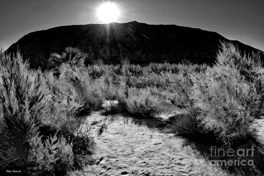 Coachella Valley Preserve Mountain Sunset B And W Photograph by Blake Richards