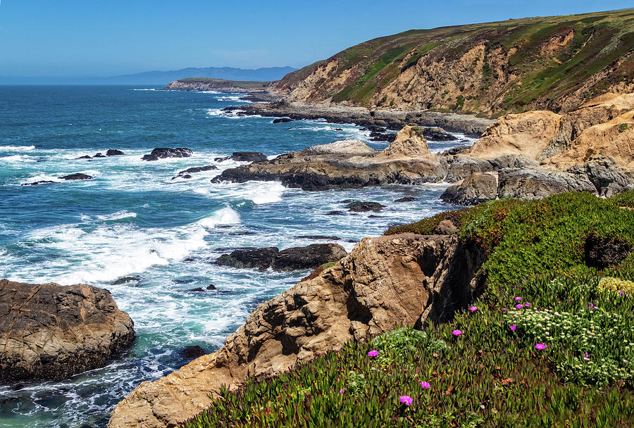 Coast at Bodega Head Photograph by Carolyn Derstine