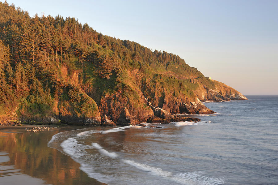 Coast At Heceta Head Lighthouse Sp Photograph by Aimintang