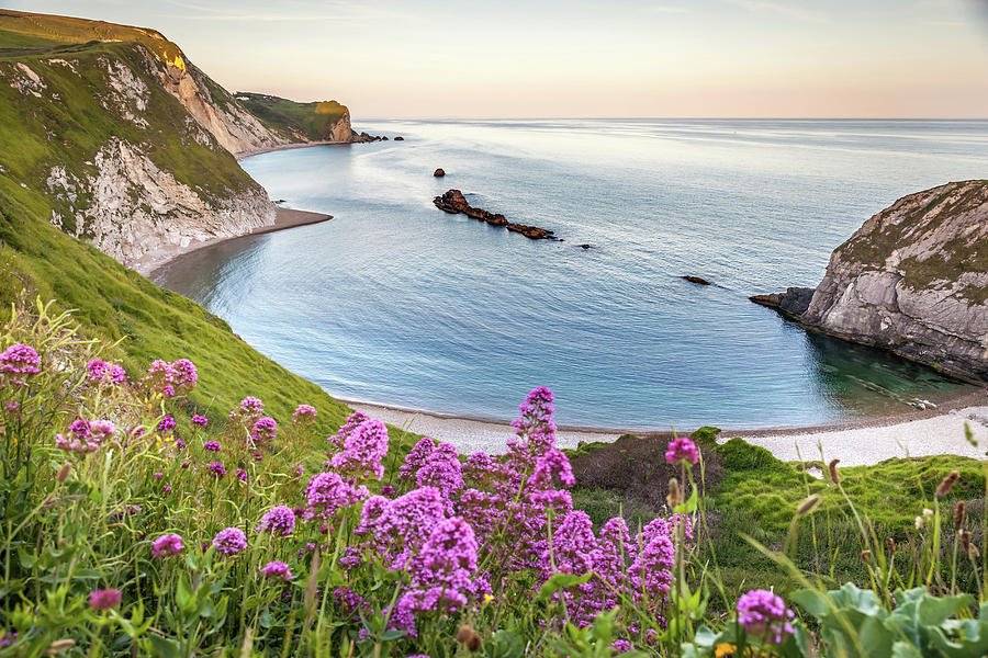 Coast Near Lulworth Cove, Dorset, England, Great Britain Digital Art by Christian Muringer