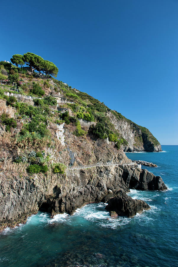 Coast Of Cinque Terre In Italy Photograph by Stefan Cioata