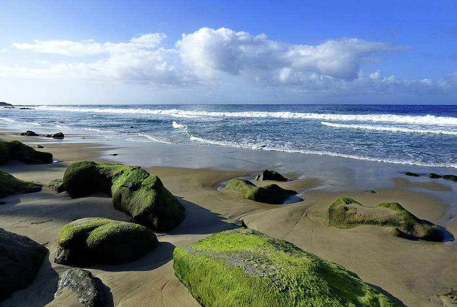 Coast of Laguna Beach, California Photograph by Lyuba Filatova