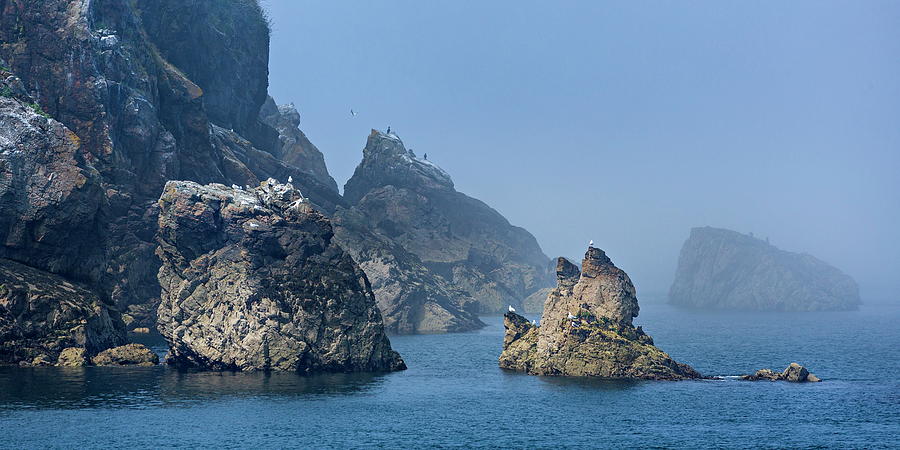 Coast Of Sark Island, Channel Is Digital Art by Reinhard Schmid