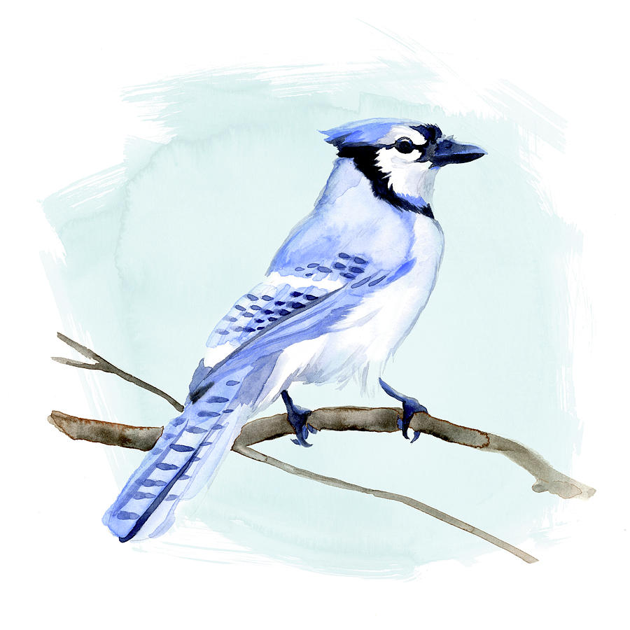 Bird Painting - Coastal Blue Jay I by Jacob Green