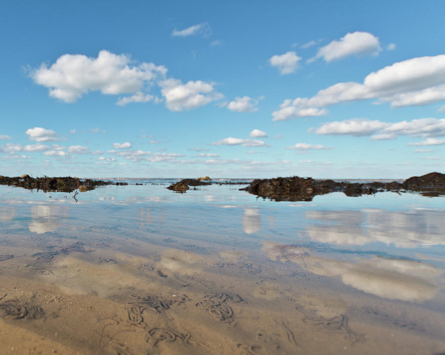Coastal Cumulus Reflections Photograph by S0ulsurfing - Jason Swain