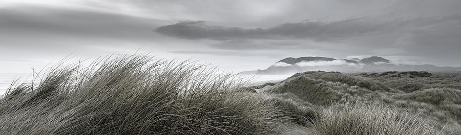 Coastal Dunes at Dusk Photograph by Don Schwartz