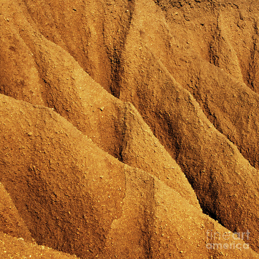 Coastal Erosion - Organic Patterns and Textures by Charmian Vistaunet Coastal Erosion - Organic Patterns and Textures by Charmian Vistaunet
