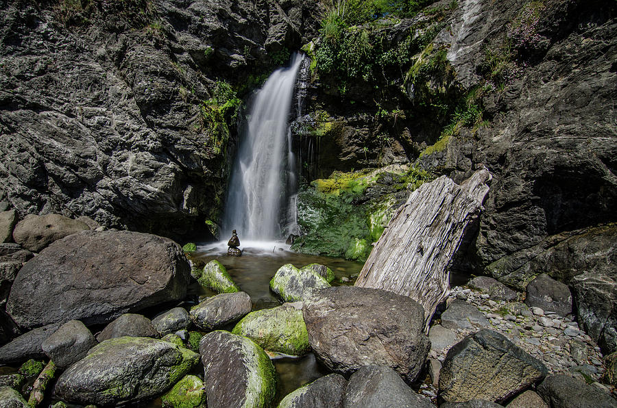 Coastal Falls by Margaret Pitcher Coastal Falls by Margaret Pitcher
