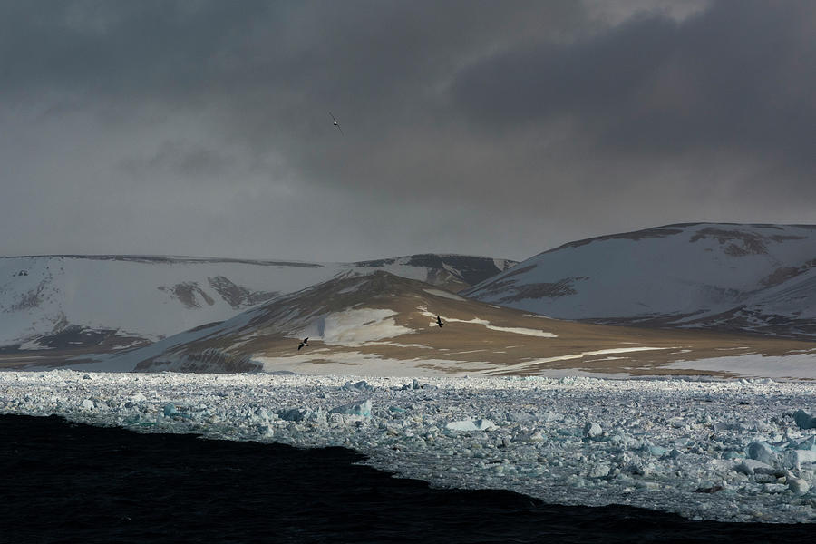 Coastal Landscape And Shorefast Ice, Wahlenberg Fjord, Nordaustlandet ...