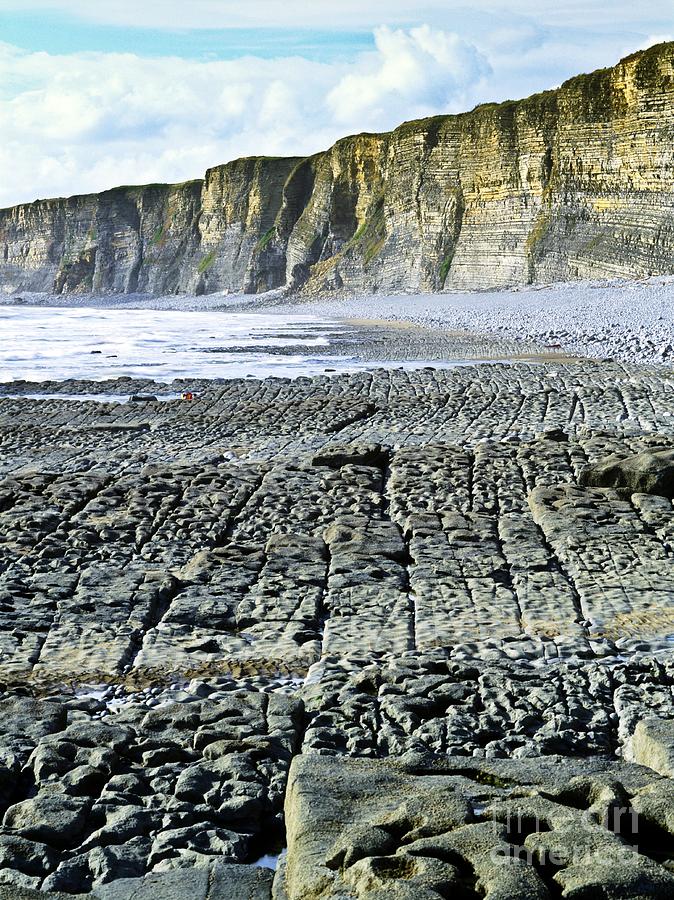 Coastal Limestone Platform Photograph by Martyn F. Chillmaid/science Photo Library