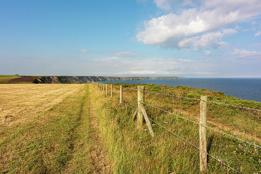 Coastal Path Old and New Photograph by Hazy Apple