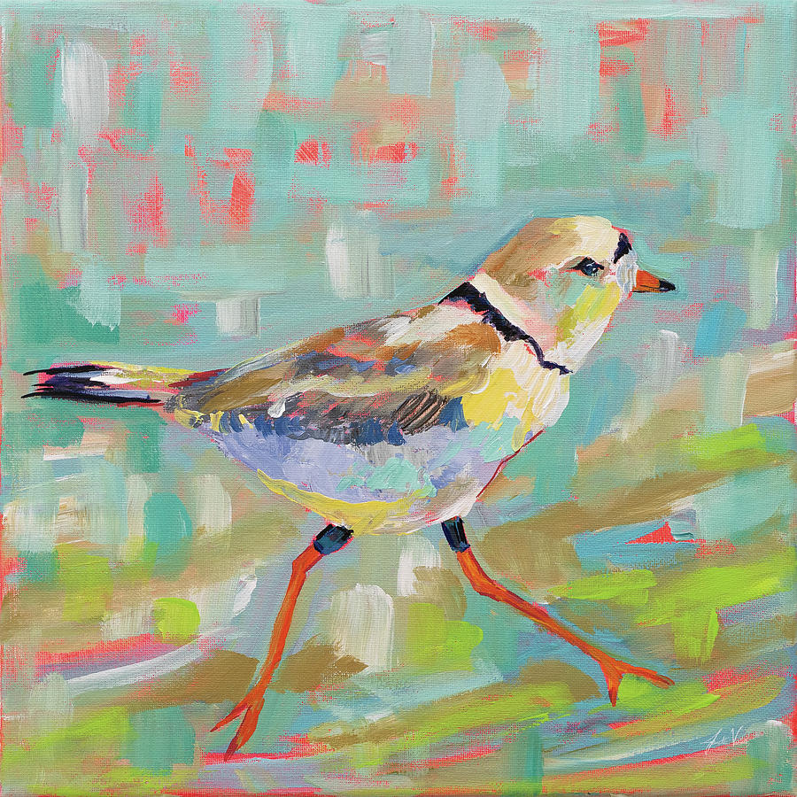 Animals Painting - Coastal Plover I by Jeanette Vertentes Animals Painting - Coastal Plover I by Jeanette Vertentes