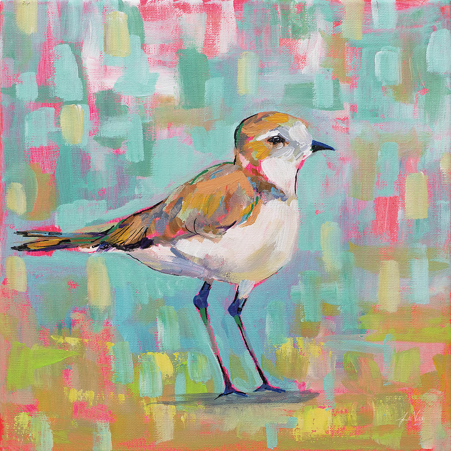 Animal Painting - Coastal Plover IIi by Jeanette Vertentes