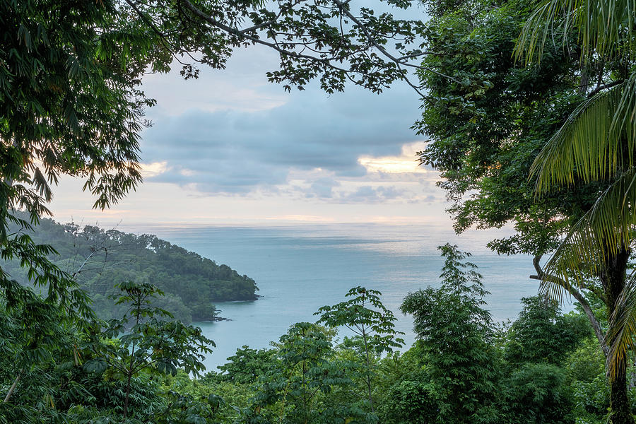 Coastal Rainforest Landscape, Quepos, Costa Rica Photograph by David Pattyn / Naturepl.com 