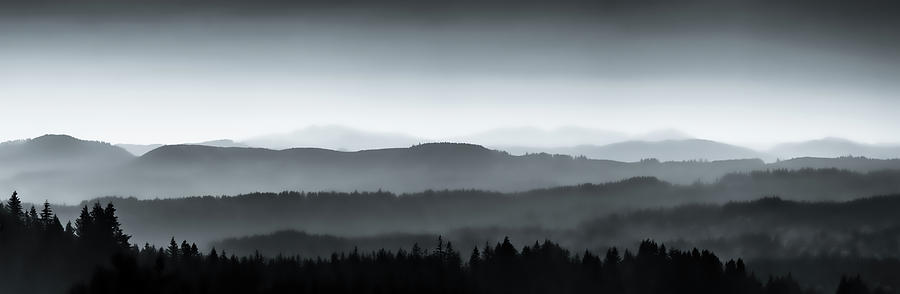 Coastal Range in Mist Photograph by Don Schwartz