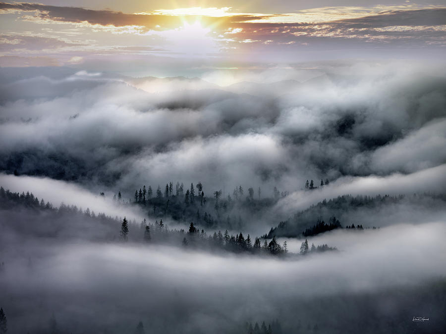 Mountain Photograph - Coastal Range Ocean Fog by Leland D Howard