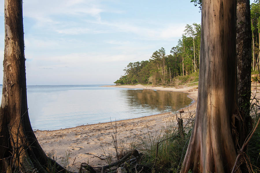 Coastal River Scene by Bob Decker Coastal River Scene by Bob Decker