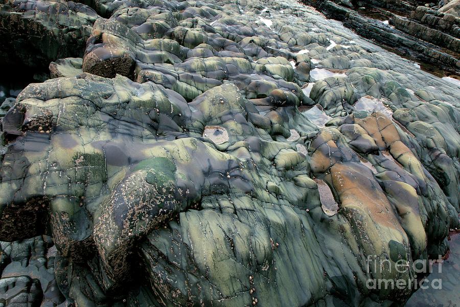 Coastal Rock Photograph by Dr Keith Wheeler/science Photo Library