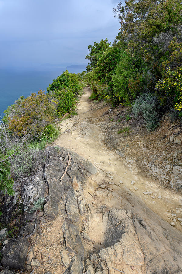 Coastal Trail To Levanto Cinque Terre Italy Photograph