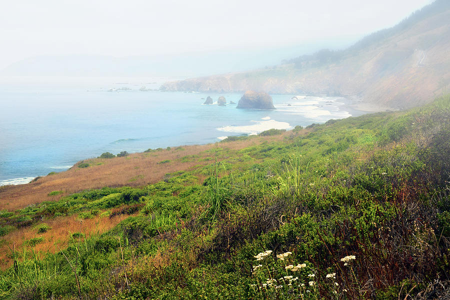 Coastal Views Fog Photograph by Frank Wilson