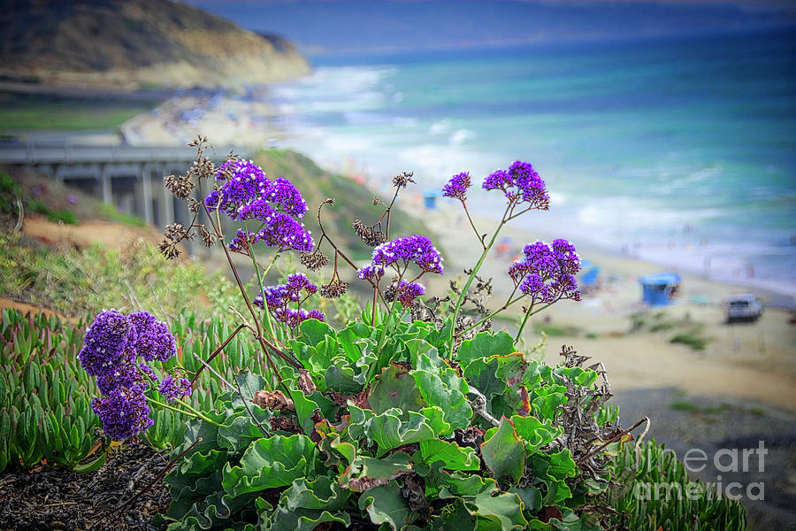 Coastline Color Photograph by Ken Johnson