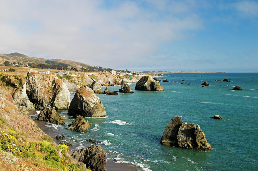 Coastline In Sonoma Coast State Park By Photograph by Anders Blomqvist