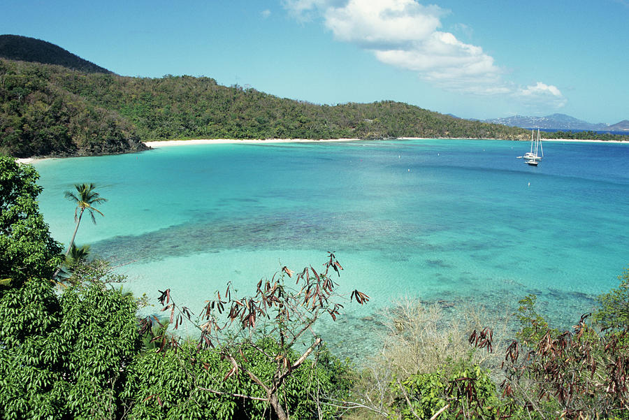 Coastline, St. John, Virgin Islands by Karl Weatherly